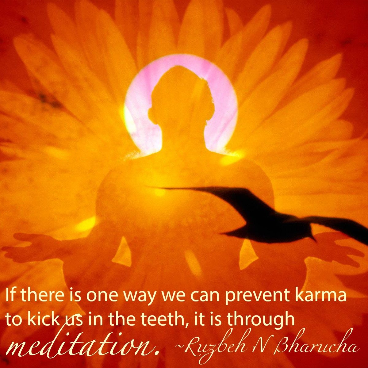 12489241_1947331785491864_4547523204605062966_o