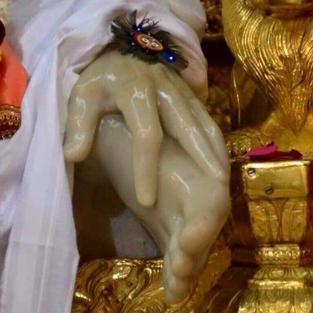 12510345_1542130026104501_3506690219607221093_n