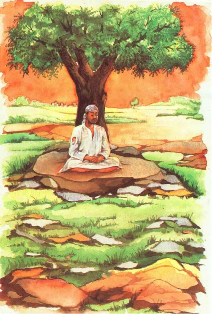 11892303_1039310309420616_5018212097186572256_o