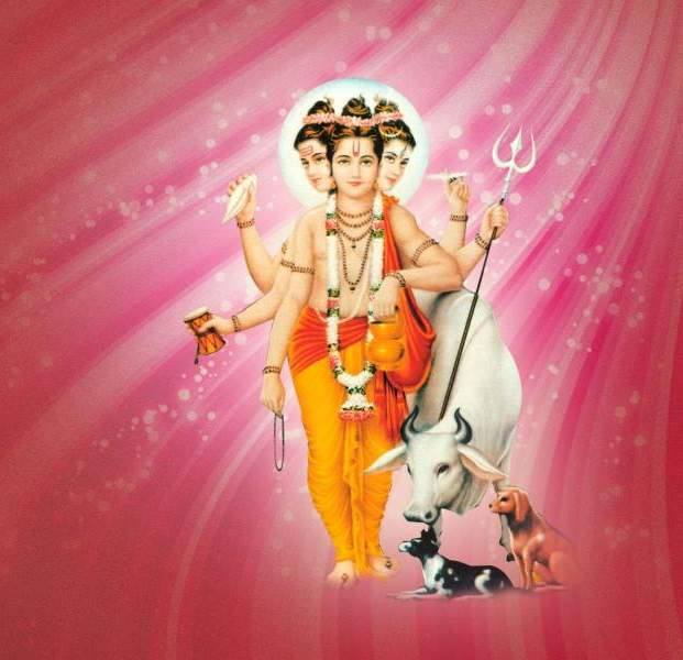 14563504_965345083569976_1005391424341919364_n