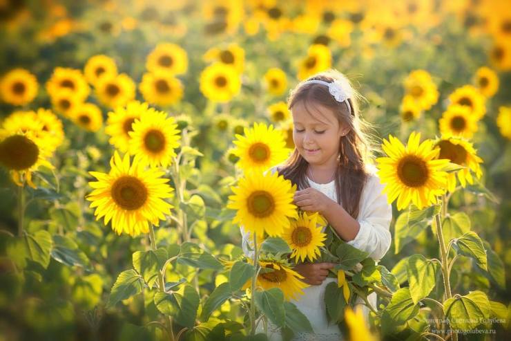 37115163_2302889169938214_6353272167211204608_o (1)