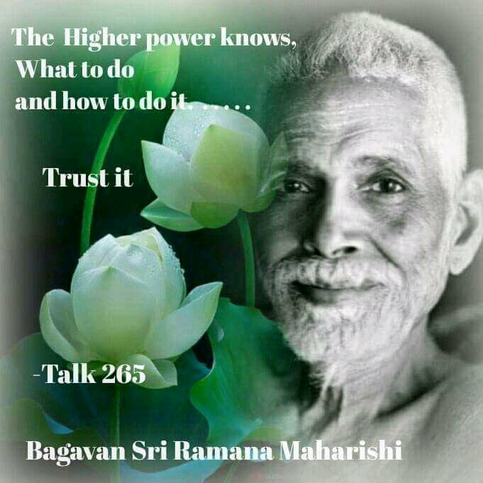 FB_IMG_15790735242504462